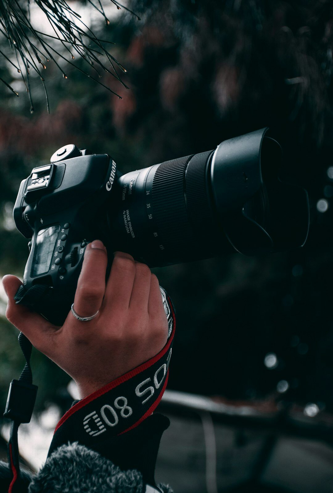 photographer taking picture